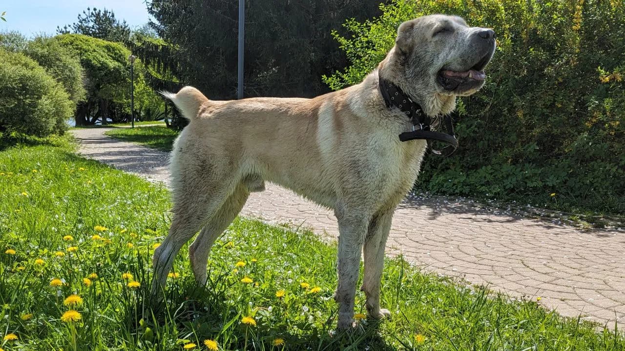 carousel-image-mobile-1