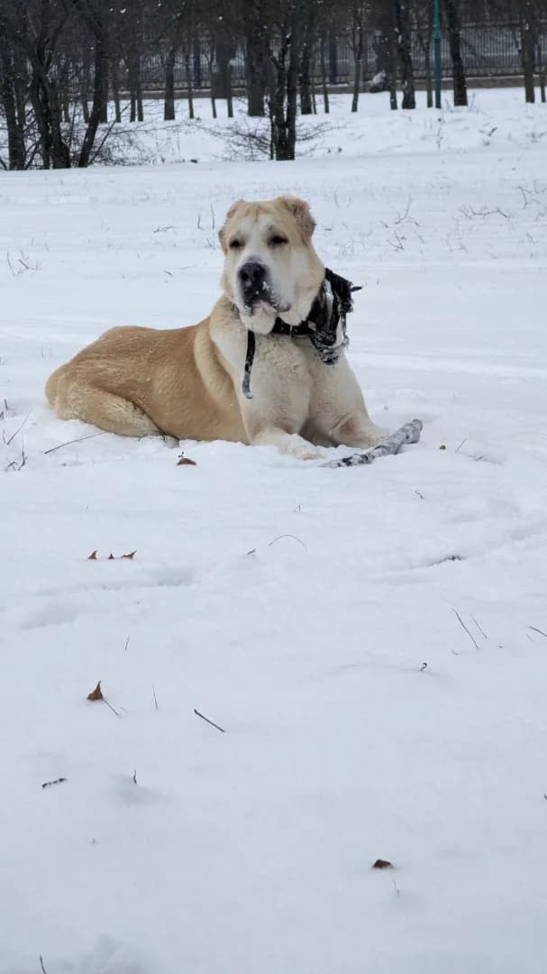 carousel-image-mobile-2