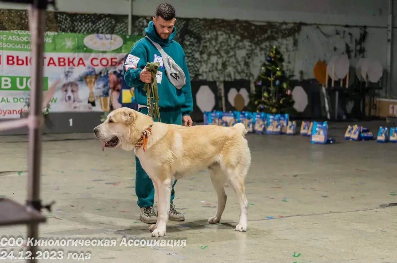 carousel-image-mobile-3