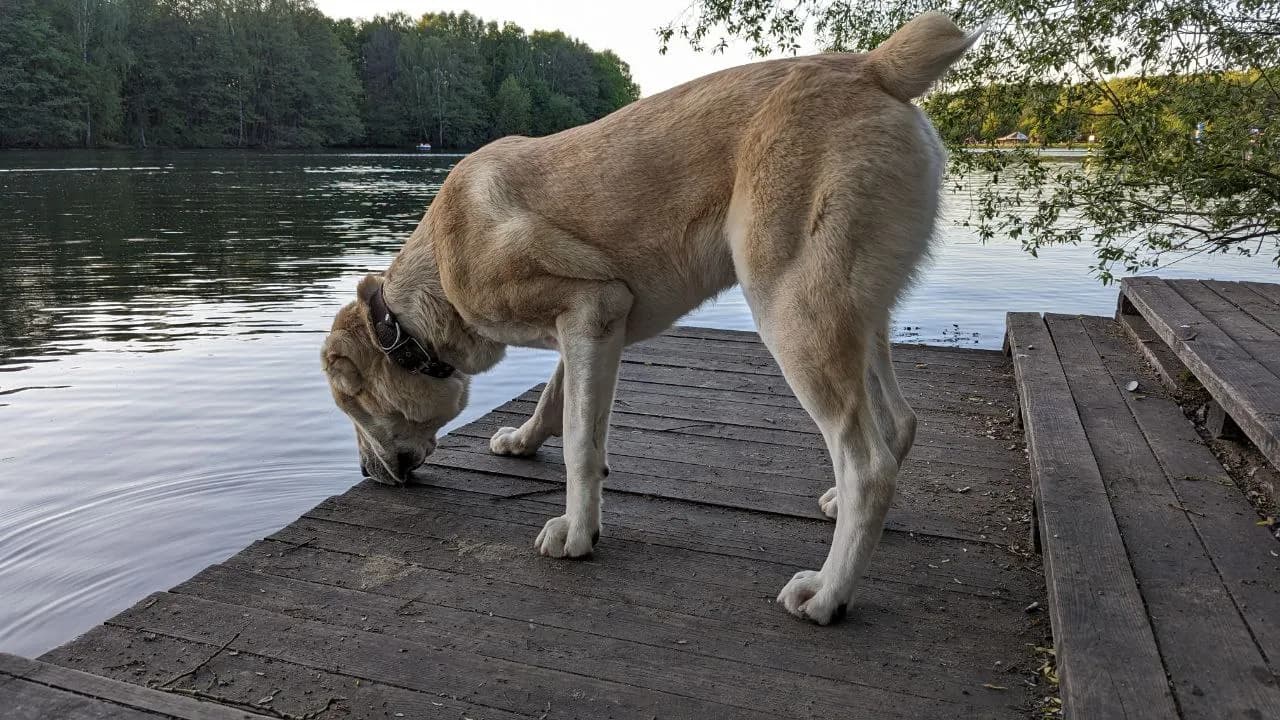 carousel-image-mobile-4