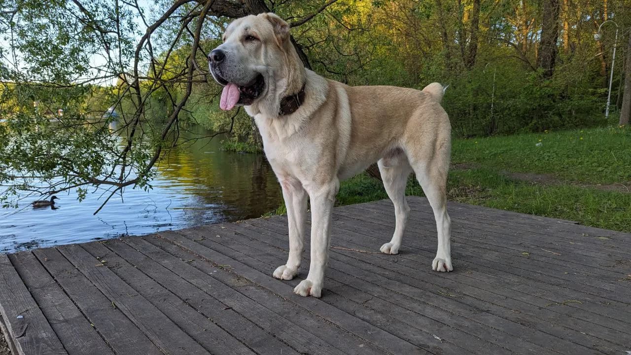 carousel-image-mobile-5