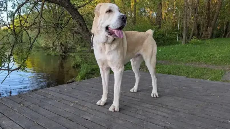 carousel-image-mobile-6