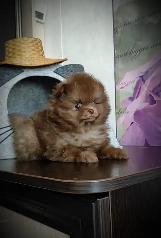 carousel-image-mobile-1