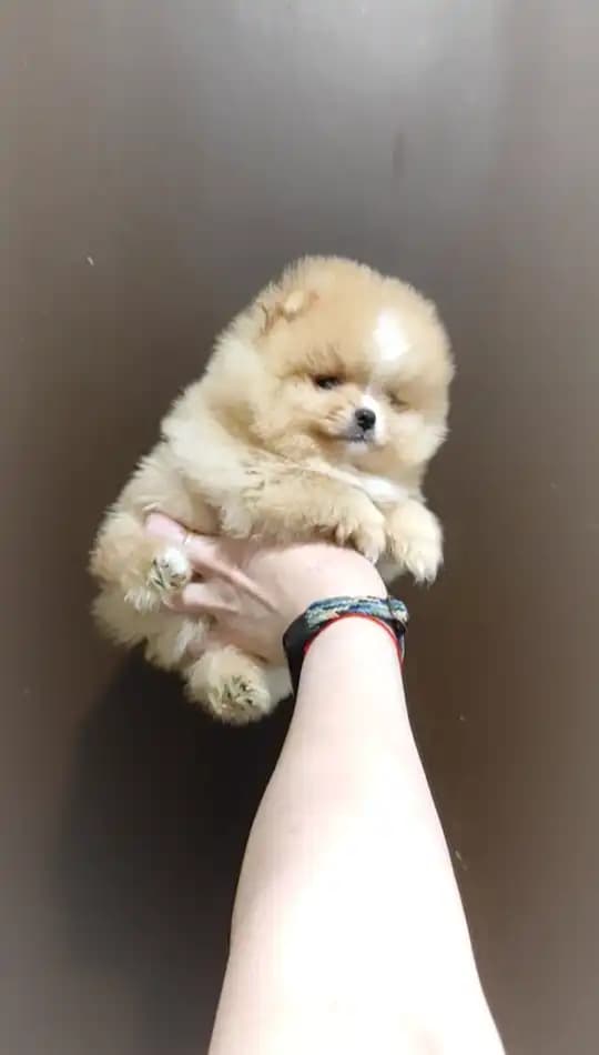 carousel-image-mobile-3