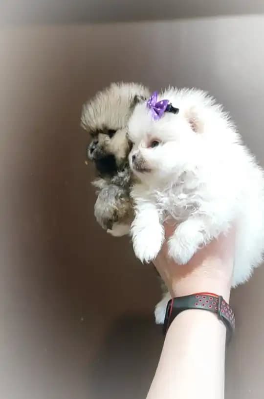 carousel-image-mobile-7