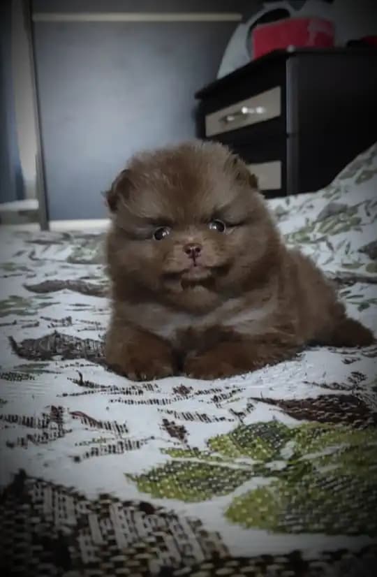 carousel-image-mobile-8