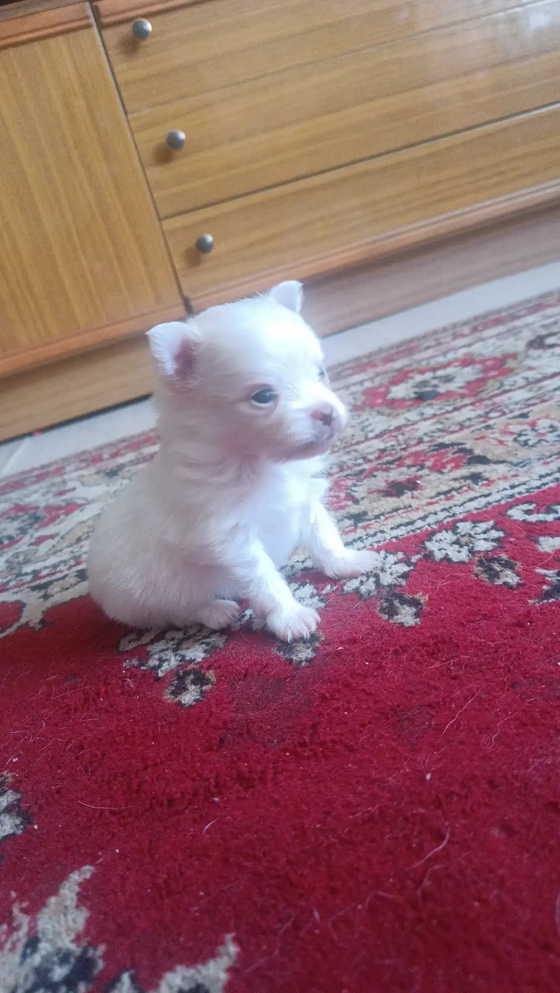 carousel-image-mobile-1