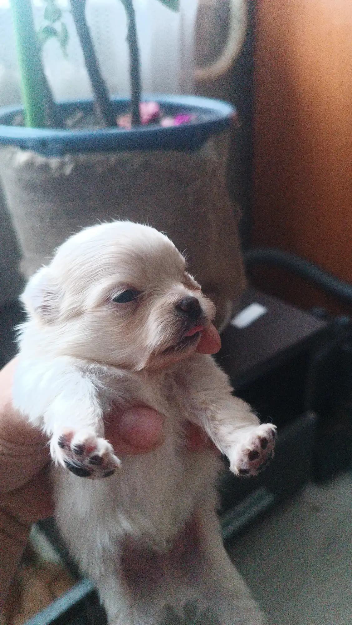 carousel-image-mobile-2