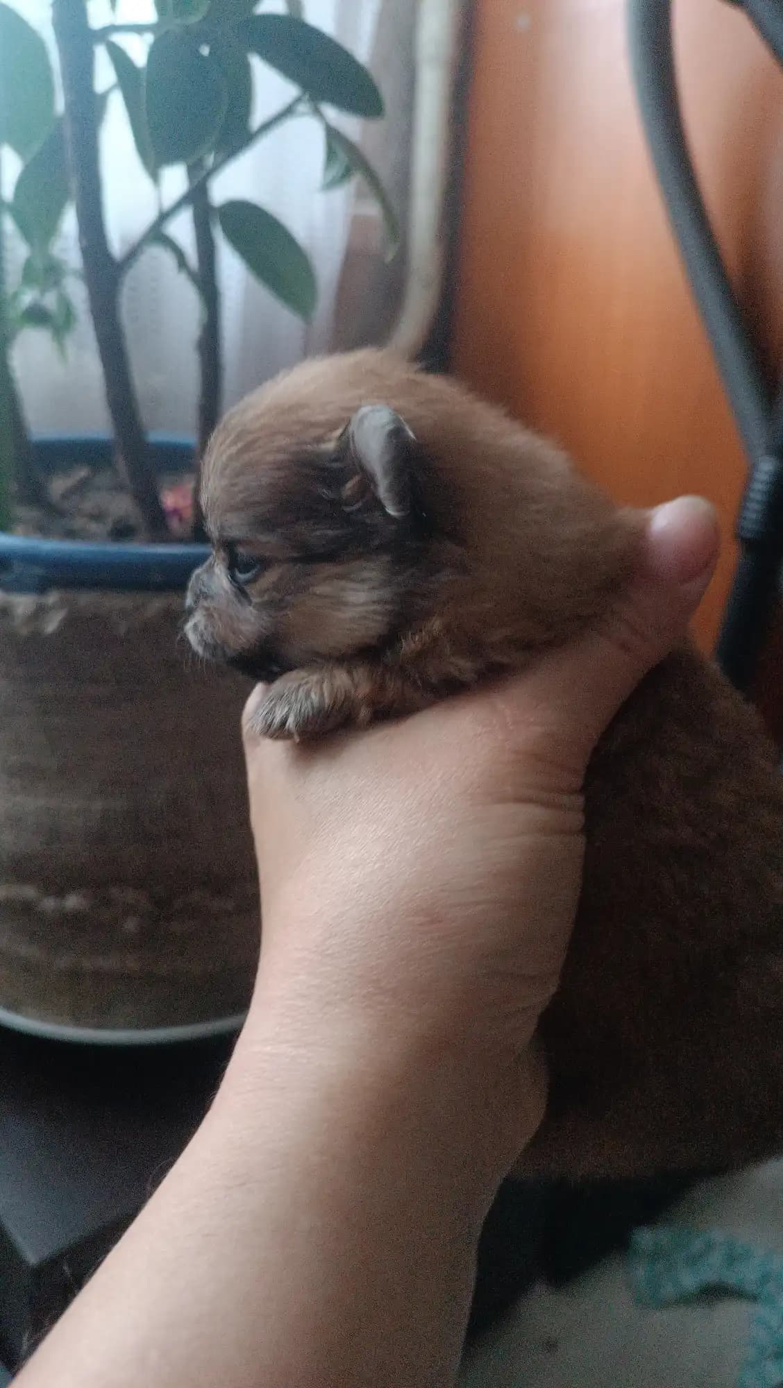 carousel-image-mobile-3