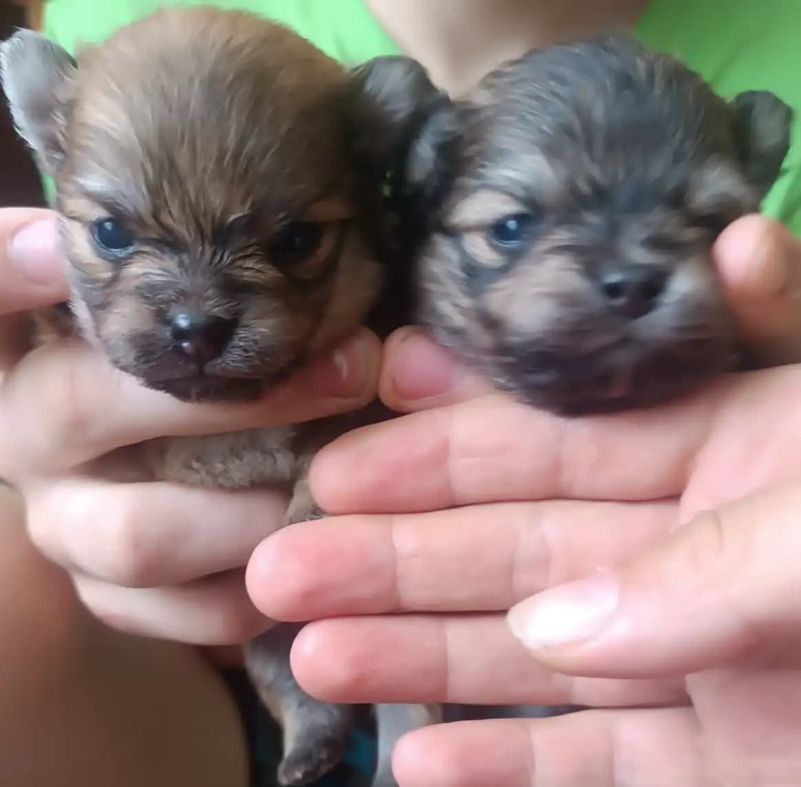 carousel-image-mobile-5