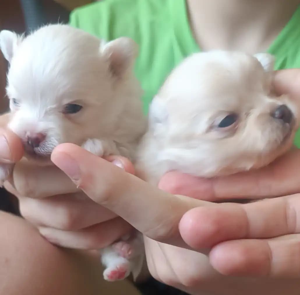 carousel-image-mobile-6