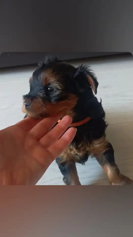 carousel-image-mobile-1