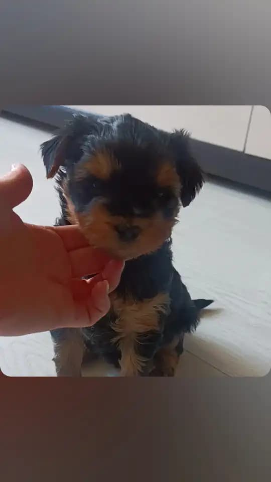 carousel-image-mobile-2