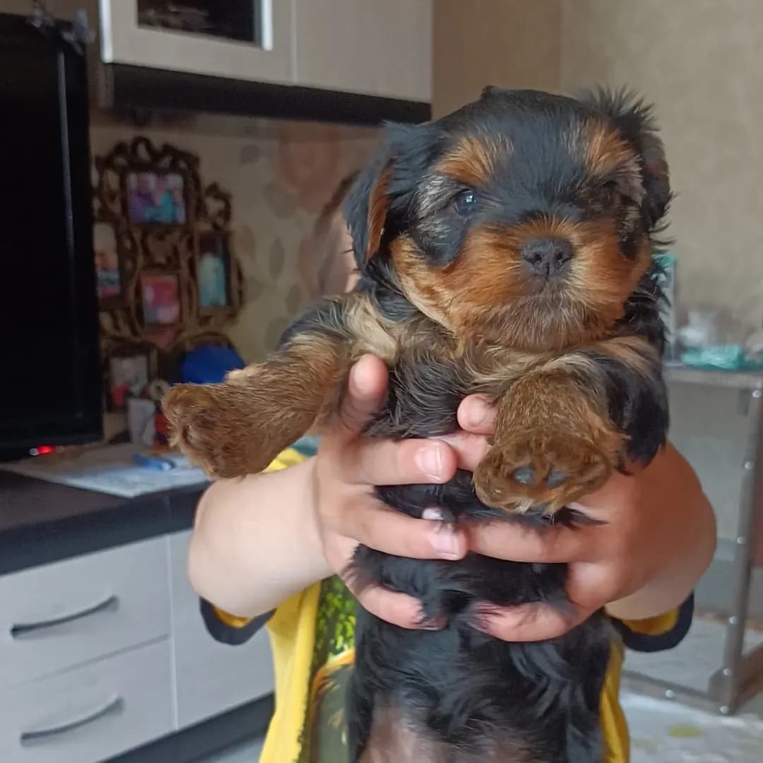 carousel-image-mobile-3