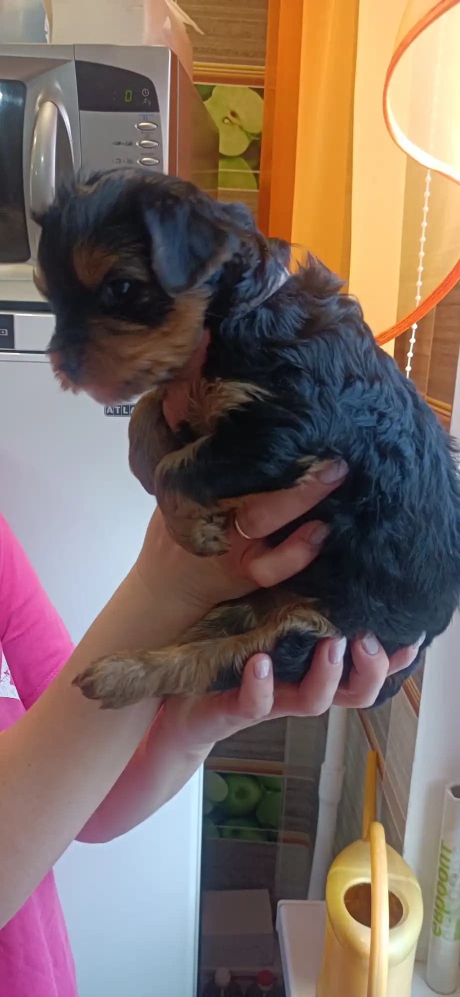 carousel-image-mobile-4