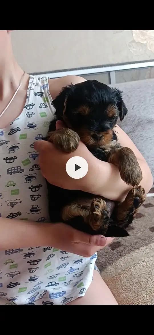 carousel-image-mobile-5