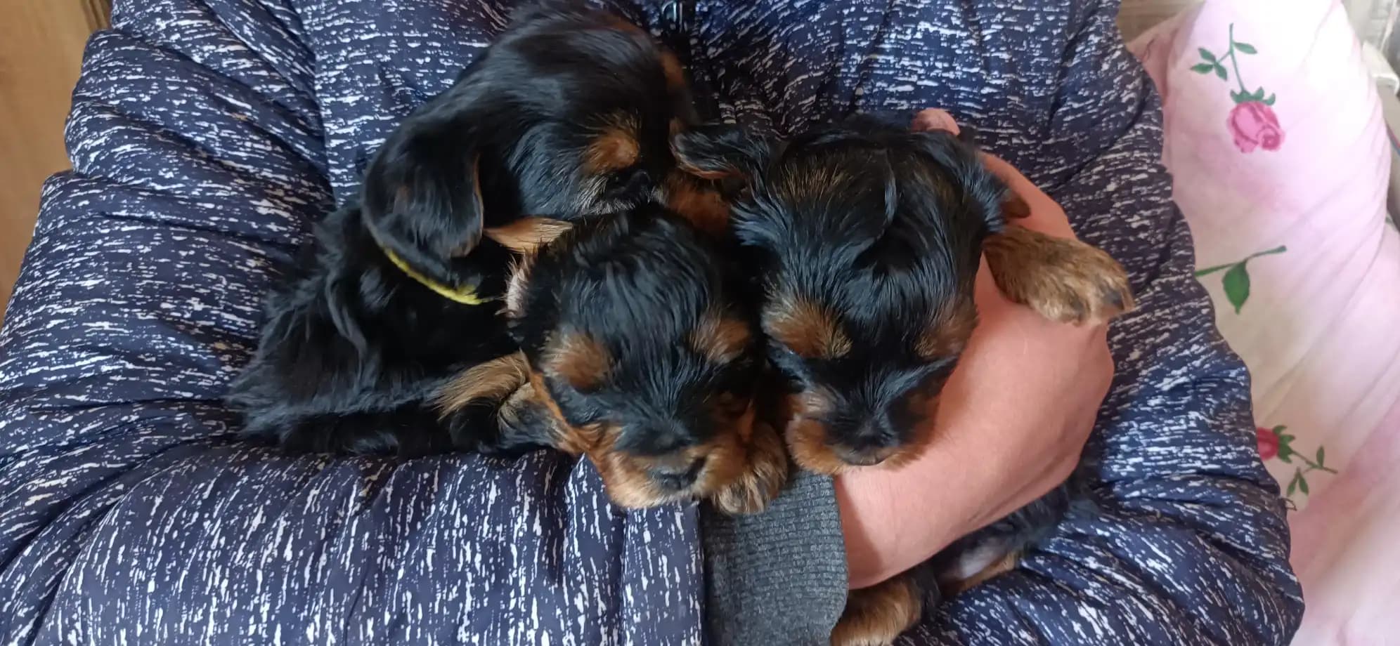 carousel-image-mobile-6