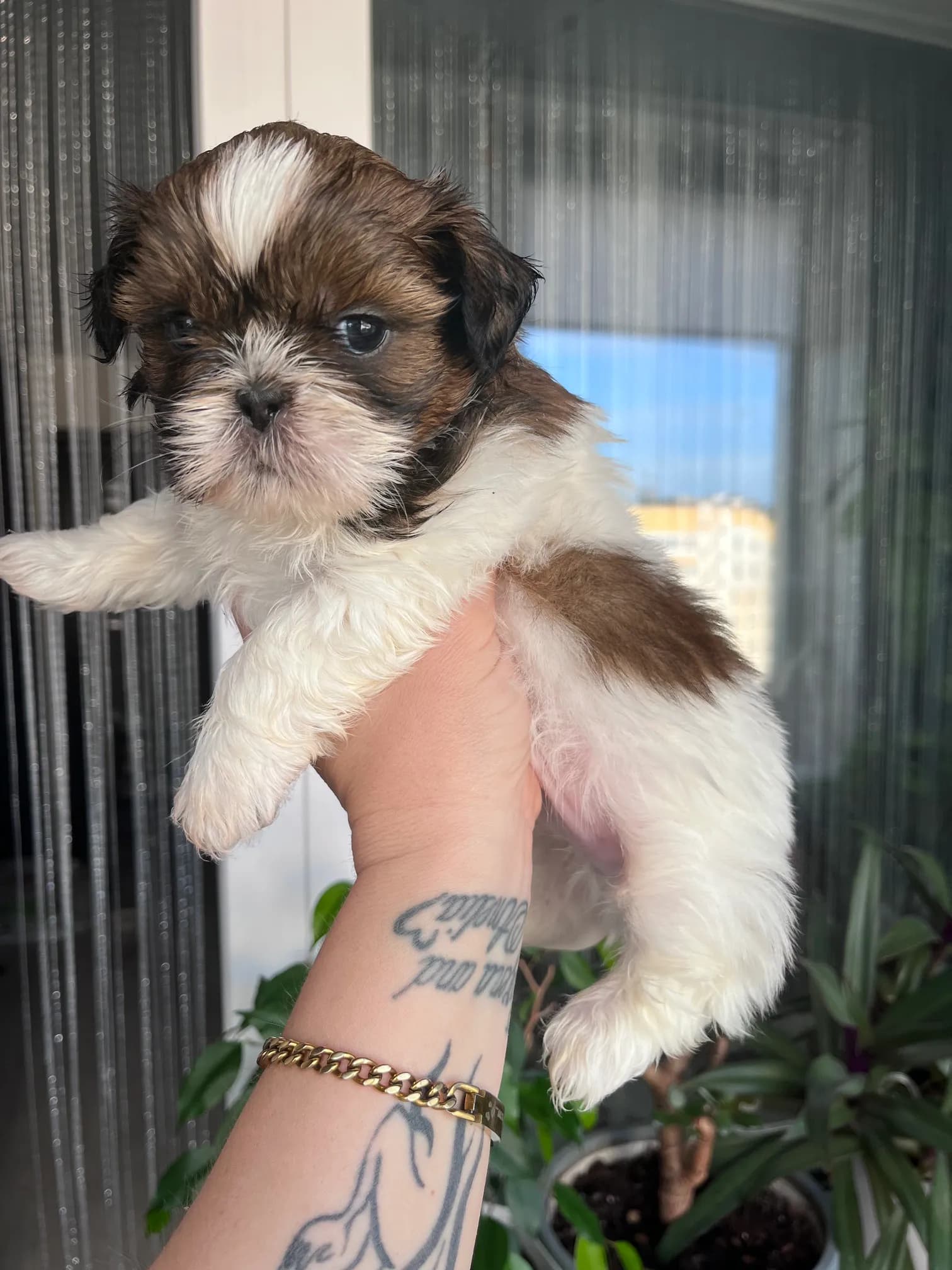 carousel-image-mobile-1