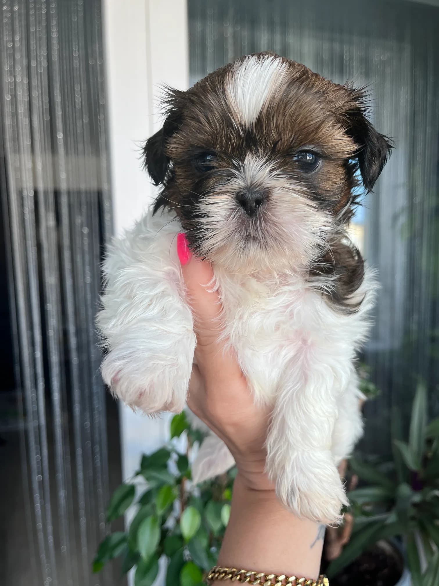 carousel-image-mobile-2