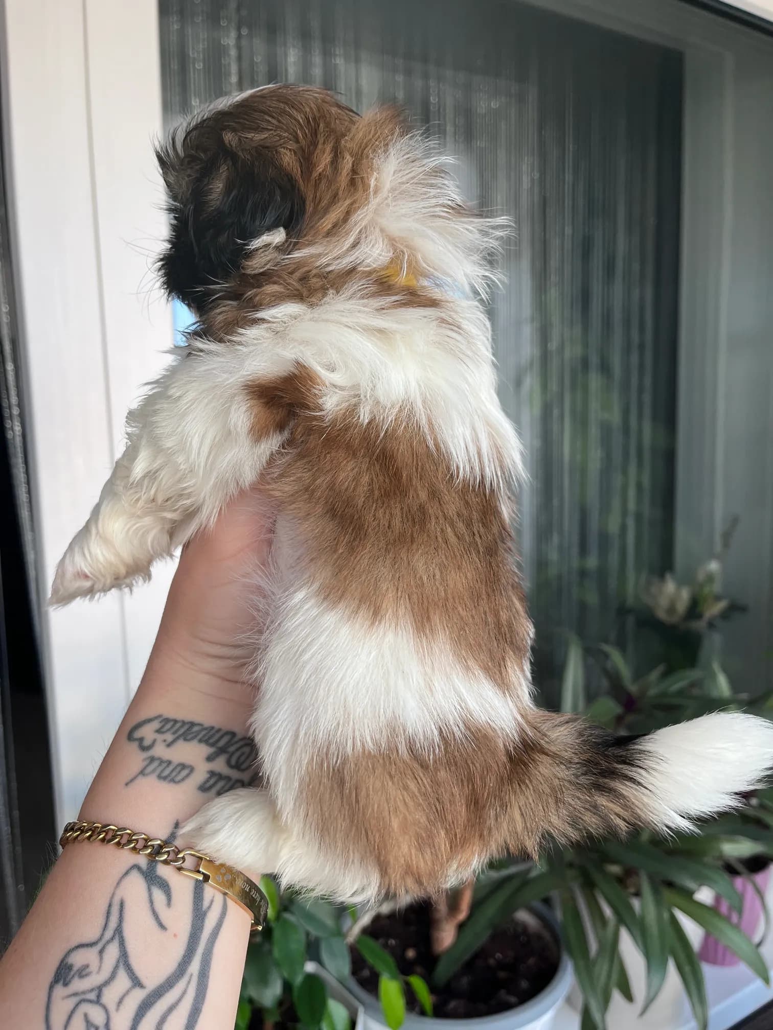 carousel-image-mobile-3