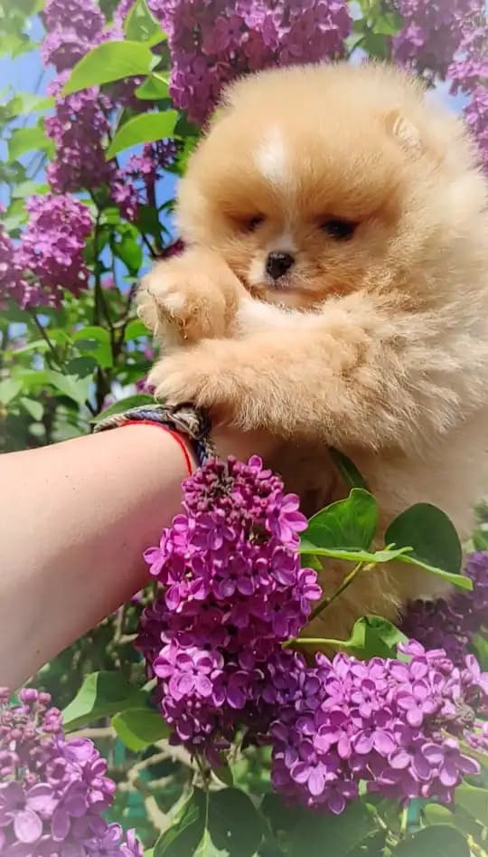 carousel-image-mobile-2