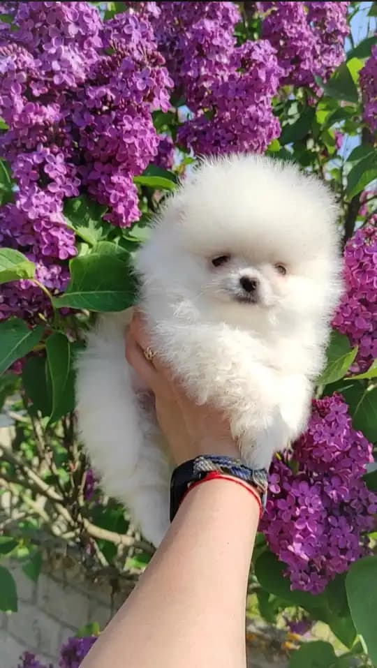 carousel-image-mobile-3