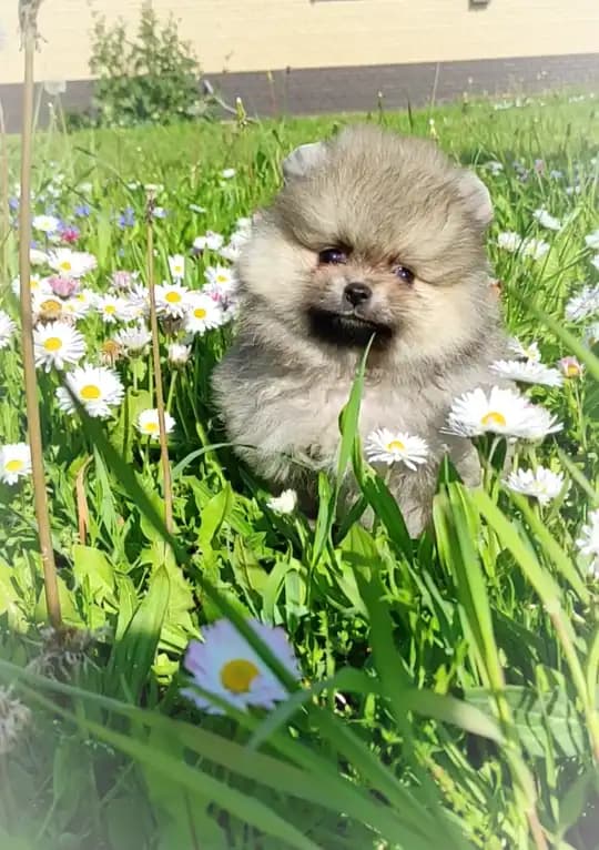 carousel-image-mobile-4