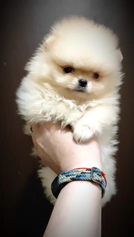 carousel-image-mobile-7