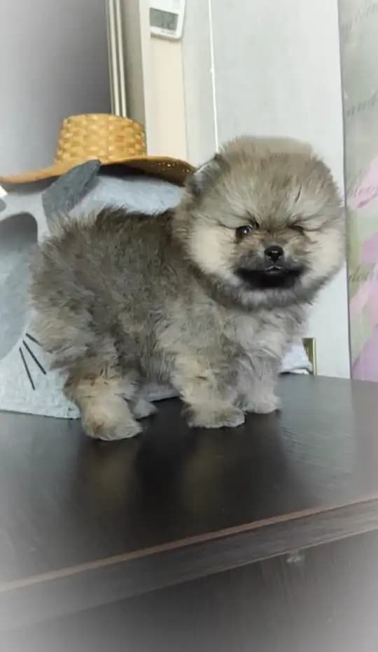 carousel-image-mobile-8