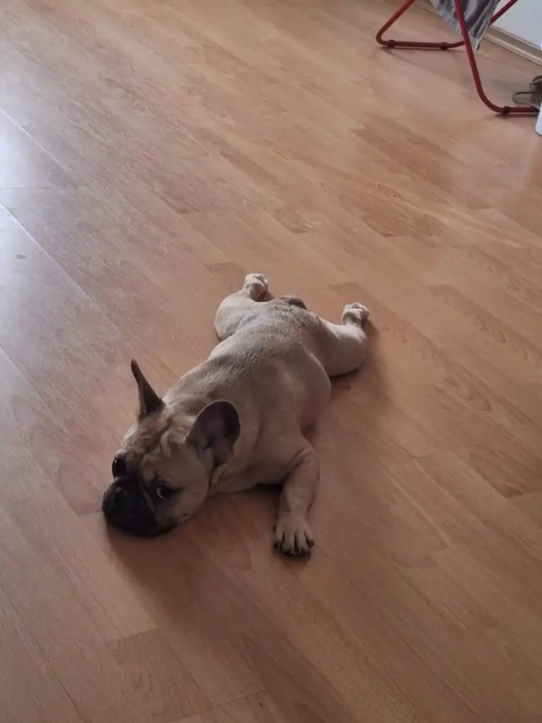 carousel-image-mobile-1