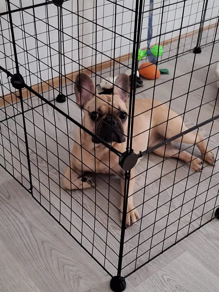 carousel-image-mobile-3