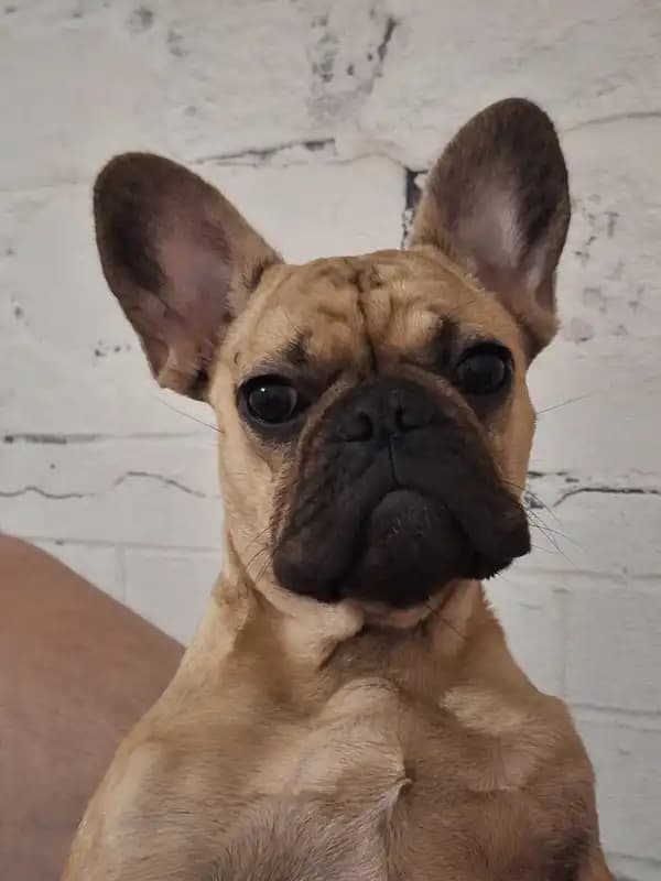 carousel-image-mobile-4