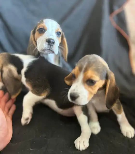 carousel-image-mobile-1