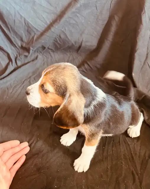 carousel-image-mobile-2