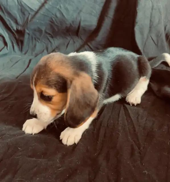 carousel-image-mobile-3