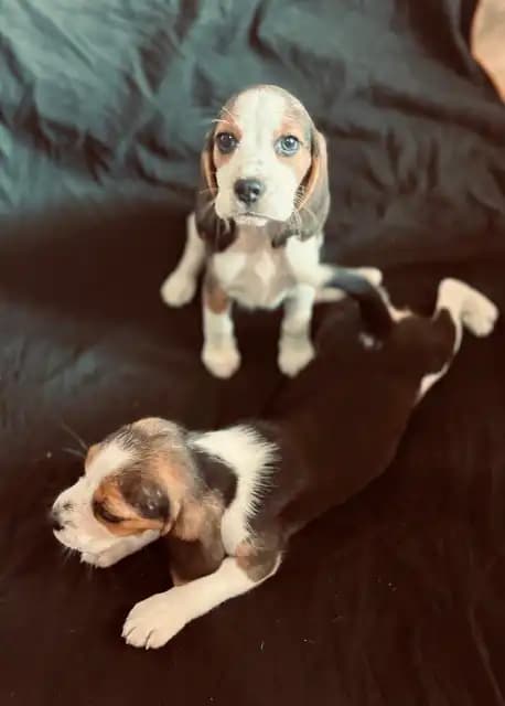 carousel-image-mobile-4