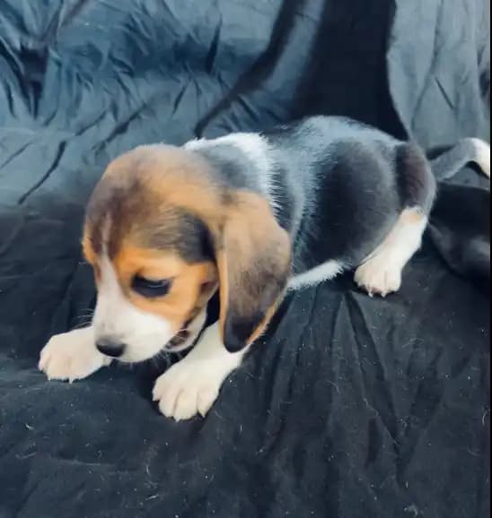 carousel-image-mobile-5