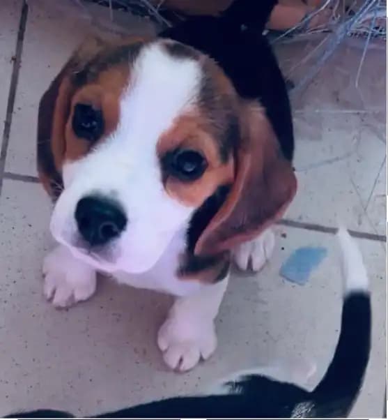 carousel-image-mobile-6