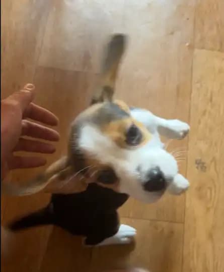 carousel-image-mobile-7