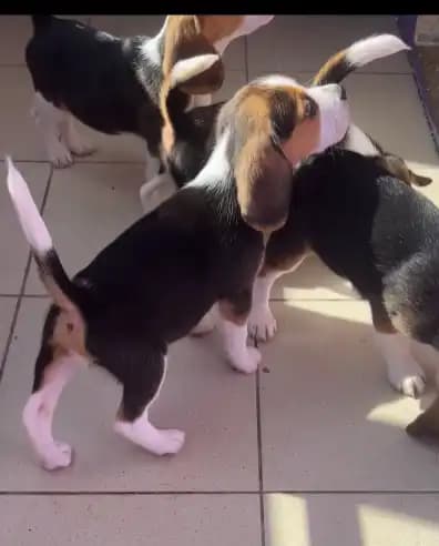 carousel-image-mobile-8