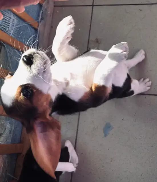 carousel-image-mobile-9