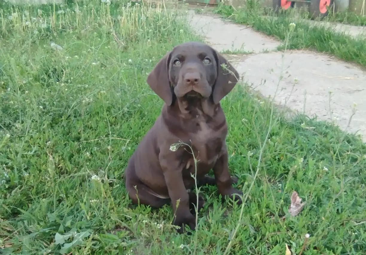 carousel-image-mobile-1