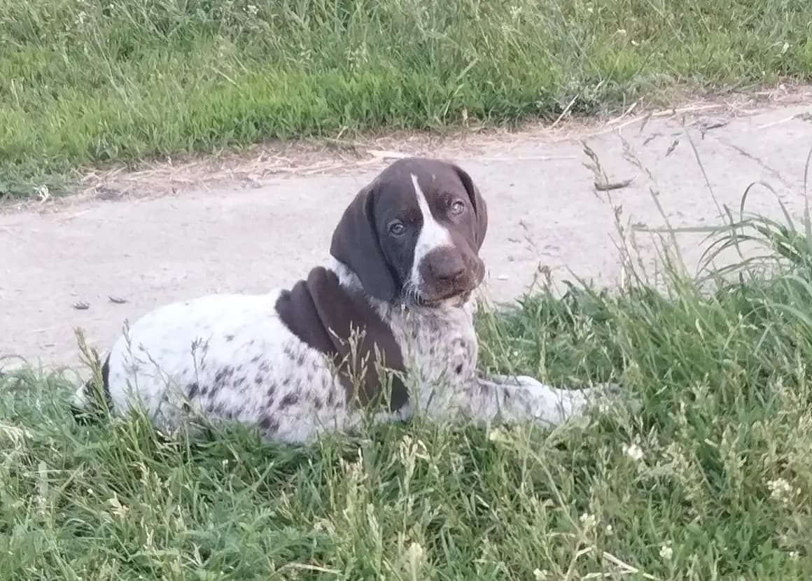 carousel-image-mobile-2