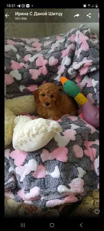 carousel-image-mobile-1