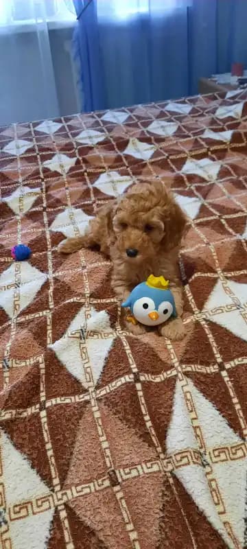 carousel-image-mobile-2