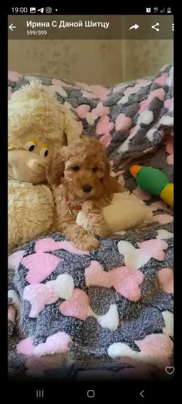 carousel-image-mobile-3