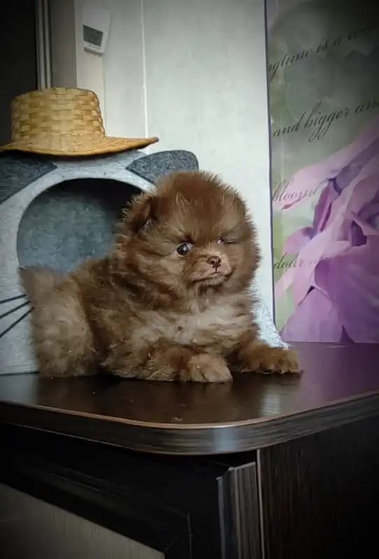 carousel-image-mobile-3