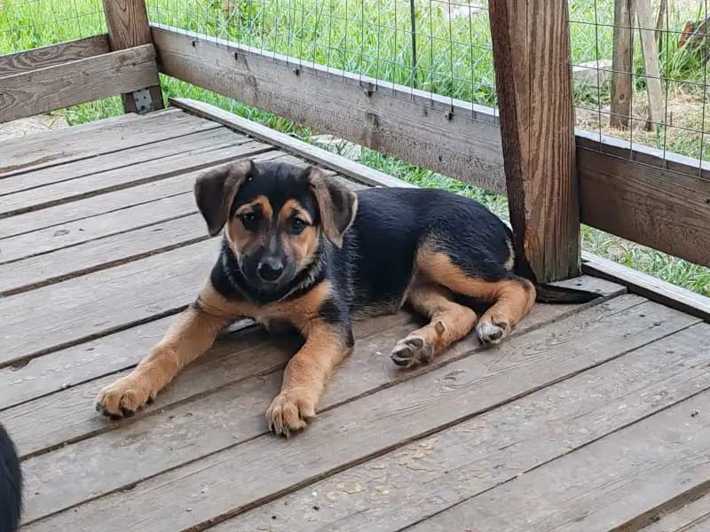 carousel-image-mobile-1