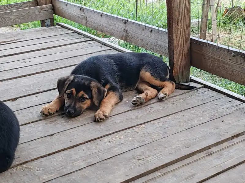 carousel-image-mobile-2