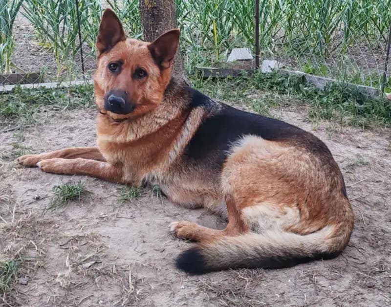 carousel-image-mobile-3